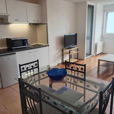 T2 Splendide Vue Mer Et Pyrenees